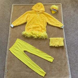 Big bird costume